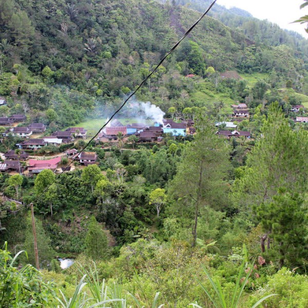 Mamasa