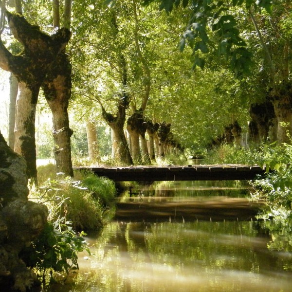 Marais poitevin (Marans)