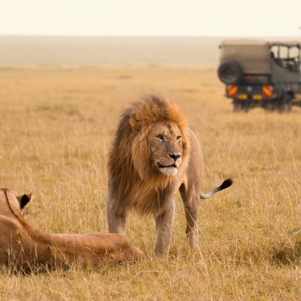 Masai Mara National Reserve