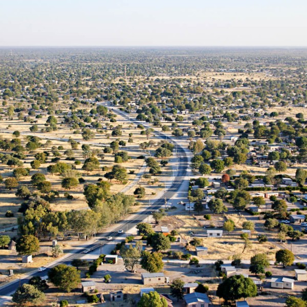 Maun