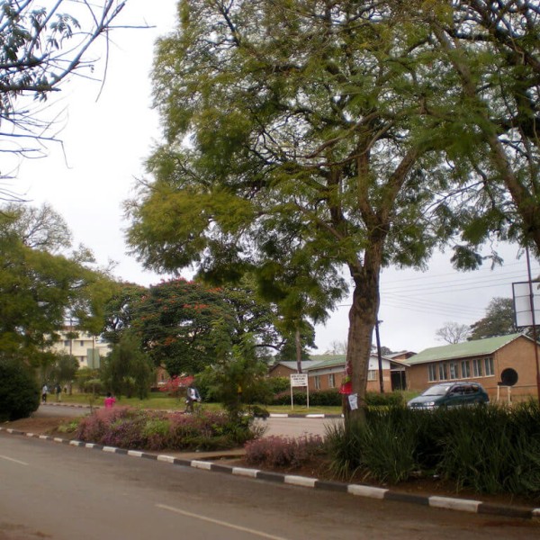 Mzuzu