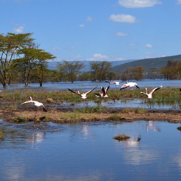 Lake Nakuru National Park
