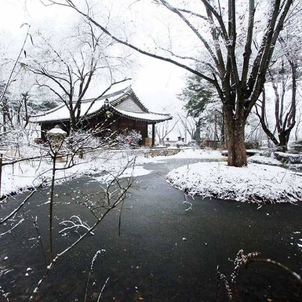 Namiseom (Nami Island)
