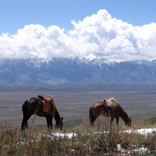Naryn
