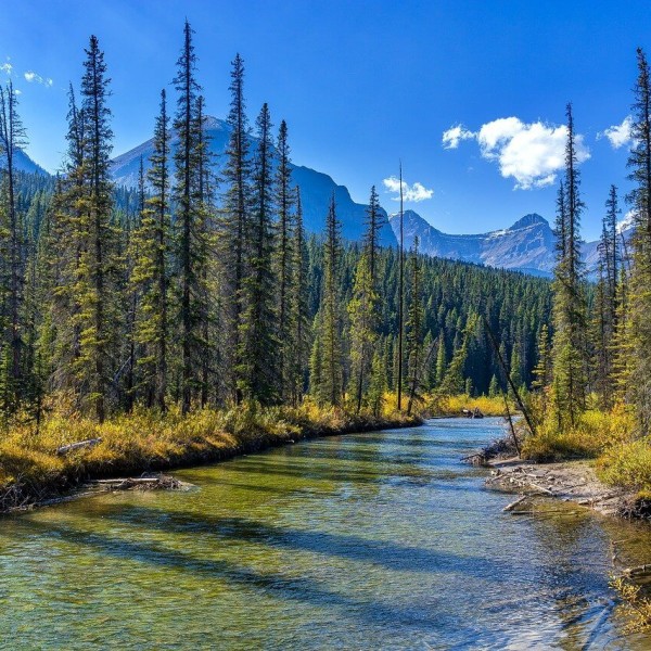 Le Parc National de Jasper