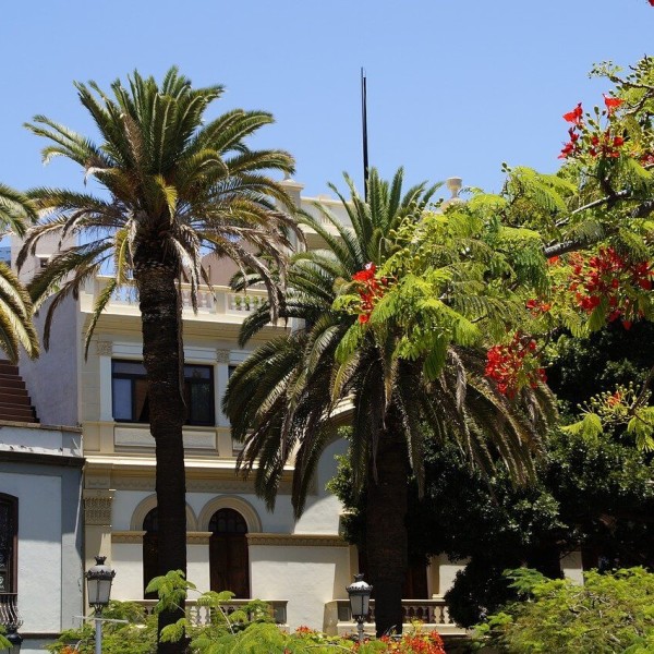 Santa Cruz de Ténérife