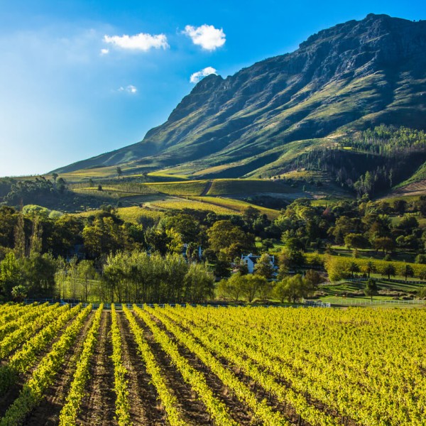Stellenbosch