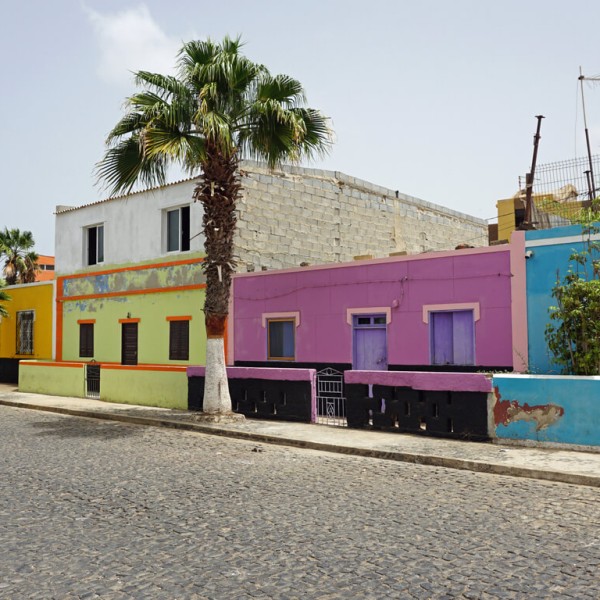 Palmeira
