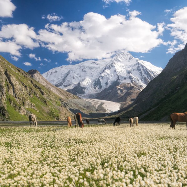 Karakol (lac Yssyk Koul)