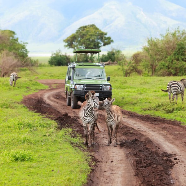 L'aire de conservation du Ngorongoro