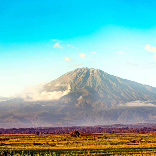 Arusha (Parc National)