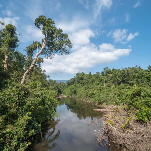 Le Parc national de Khao Yai