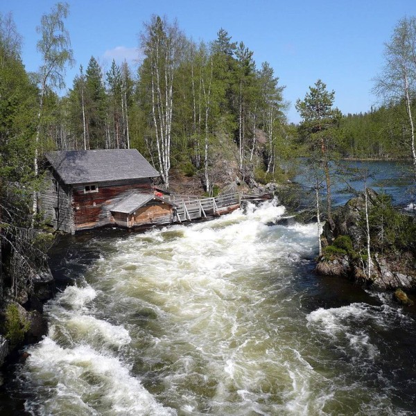 Le Parc national d'Oulanka