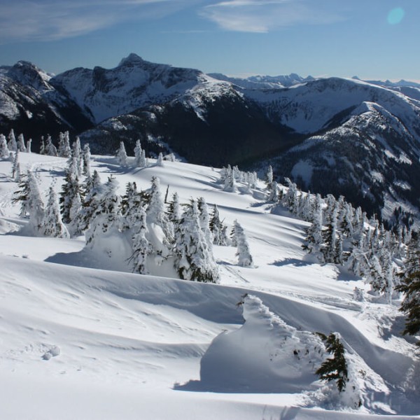 Prince Albert (Saskatchewan)