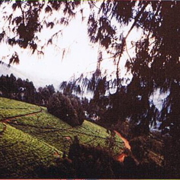 Rwegura