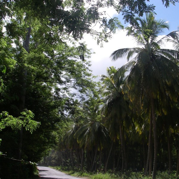 Saint-Joseph (Dominique)