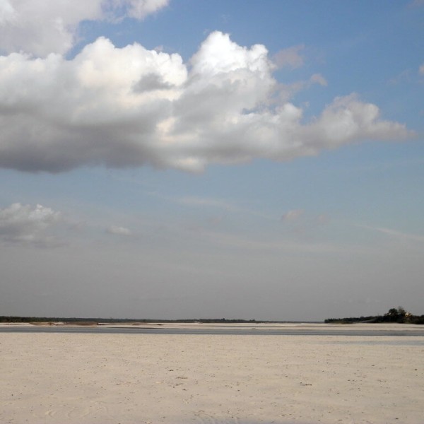 San Fernando (Venezuela)