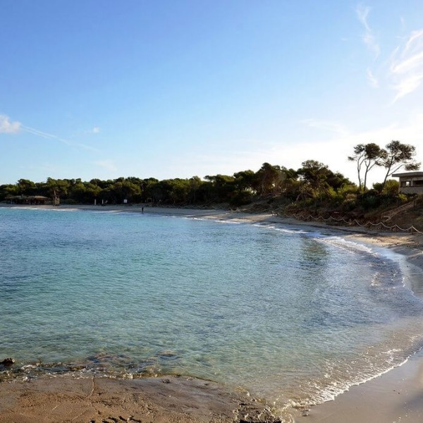 Sant Jordi de ses Salines