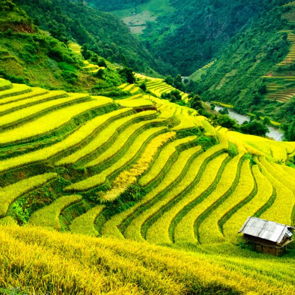 Sapa (nord du Vietnam)