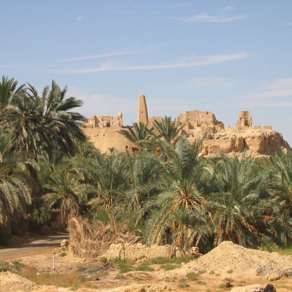Siwa