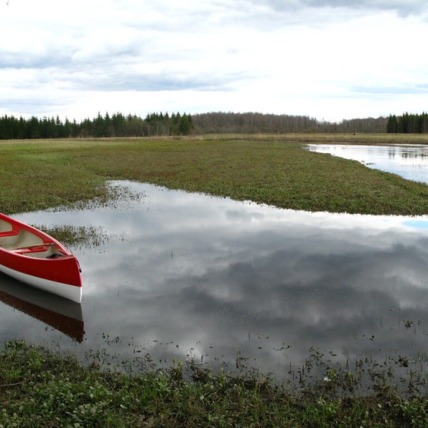 Soomaa (Parc national)