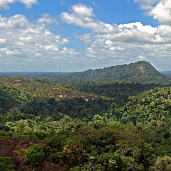 Tafelberg (Sipaliwini District)