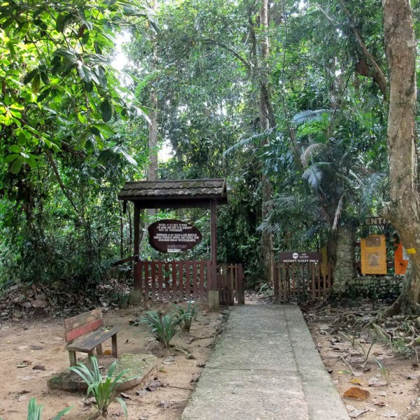 Le Parc national de Taman Negara