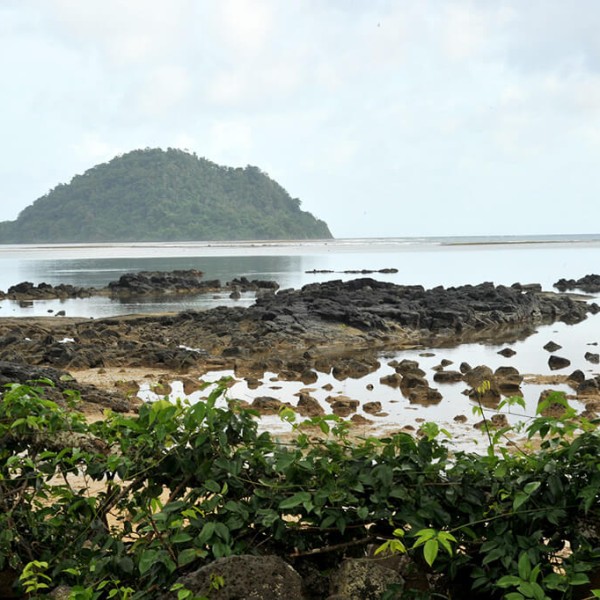 L'île de Taveuni