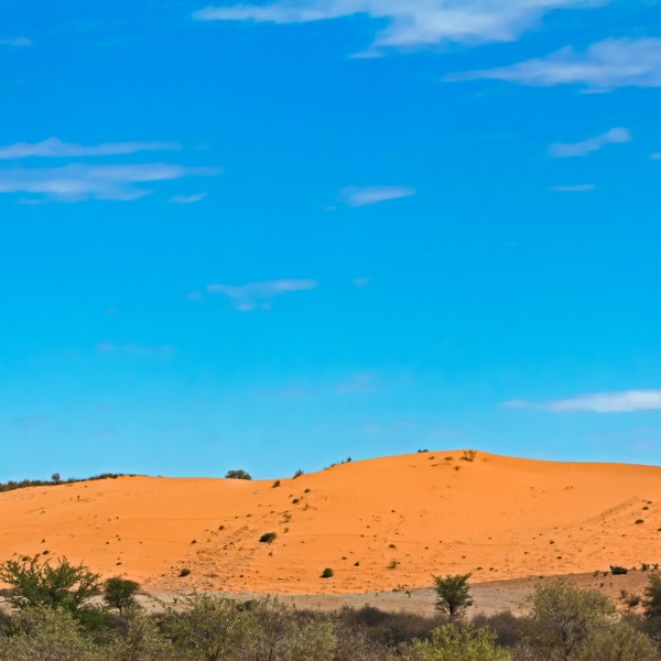 Tsabong