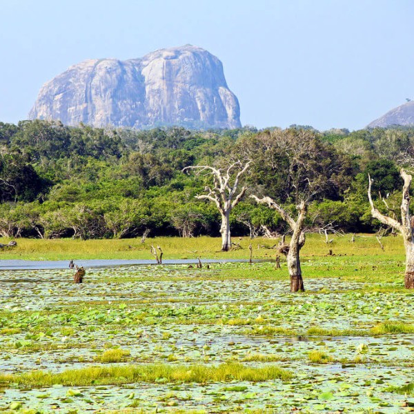 Le Parc national de Yala