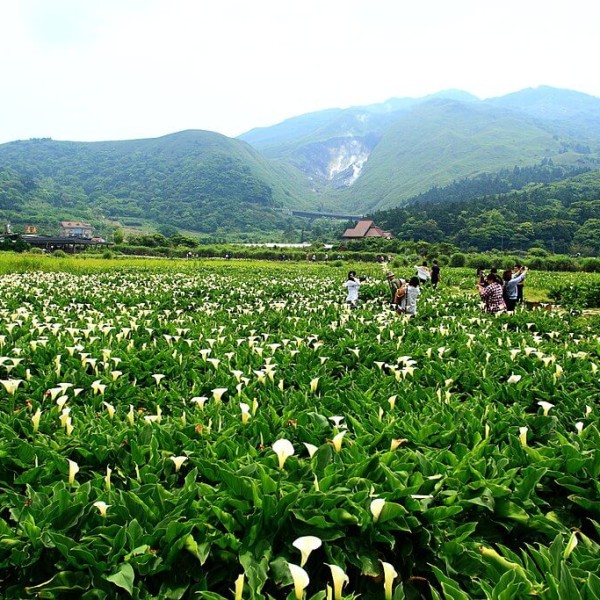 Parc national de Yangmingshan
