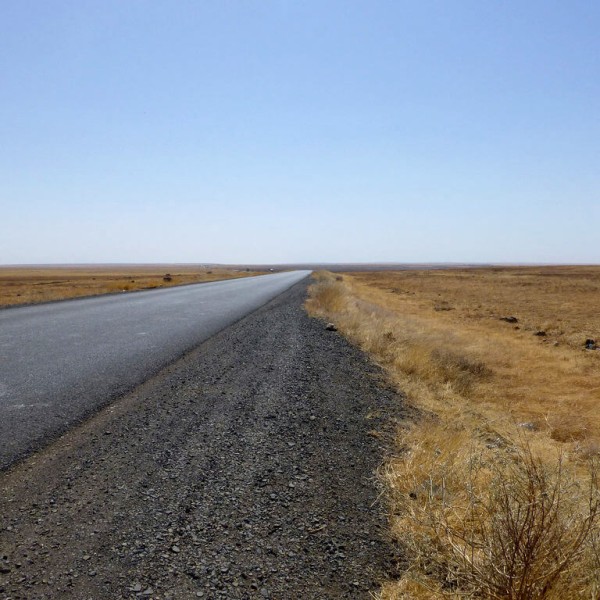 Le Parc national de Yangudi Rassa