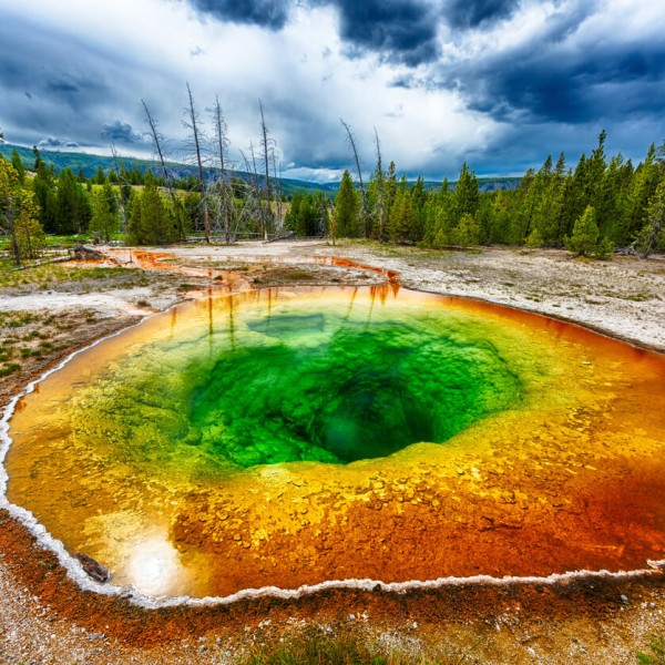 Yellowstone (Parc national)