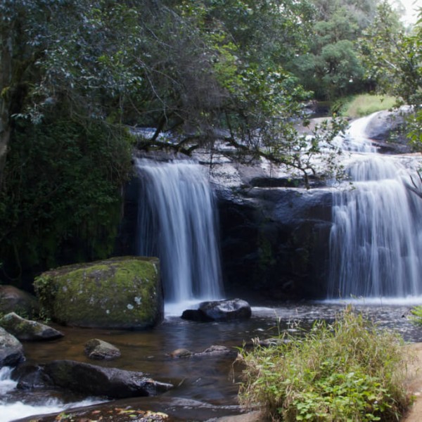 Zomba