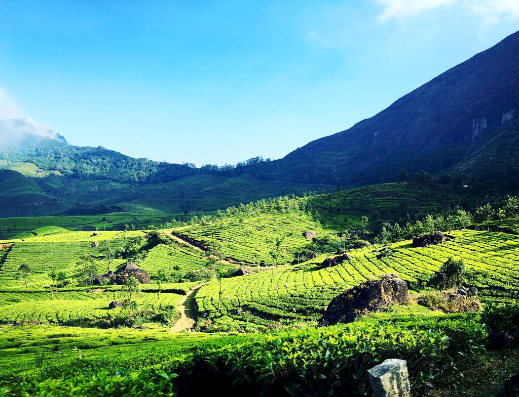 Météo Munnar : Prévisions météo voyage à 14 jours pour Munnar, Kerala