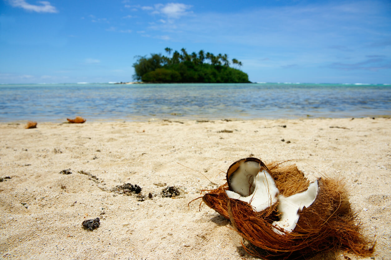 Météo Palmerston island Prévisions météo voyage à 14 jours pour